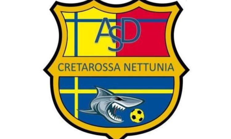 Alessandro Papa: "Sono estraneo al Nettuno Calcio"