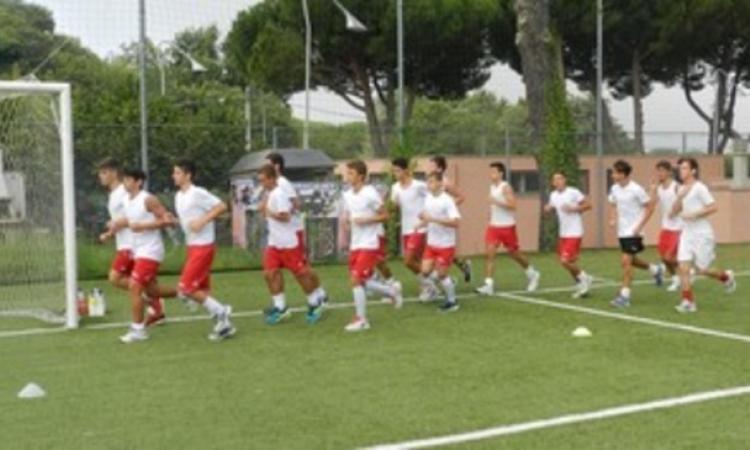 Vivace Grottaferrata, il parco allenatori del 2015/2106
