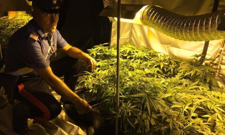 Labaro, Carabinieri sequestrano grandi quantità di stupefacenti