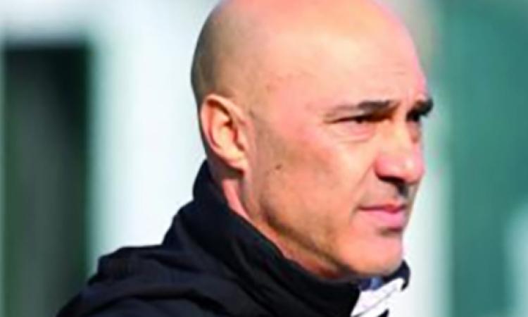 Stefano Avincola