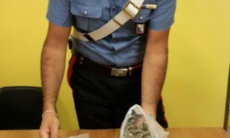 Il materiale sequestrato dai Carabinieri