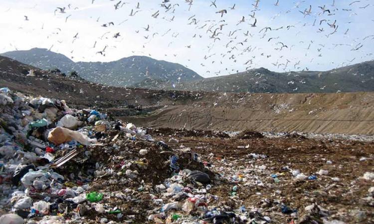 Discarica © Nottecriminale