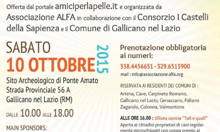 Gallicano, giornata sul mondo canino con microchip gratuito