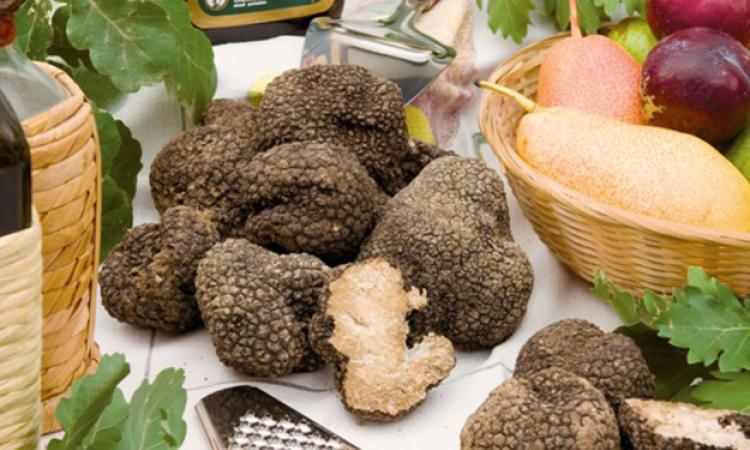 Dal nero pregiato allo scorzone è festa a Canterano