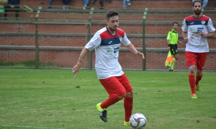 Cervini in azione