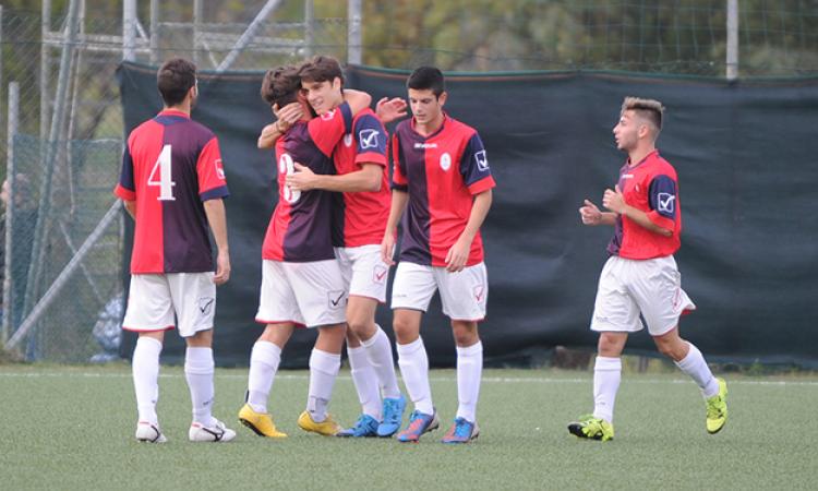 Grifone Monteverde (foto ©Del Gobbo)