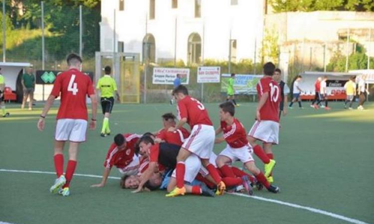 Vivace Grottaferrata