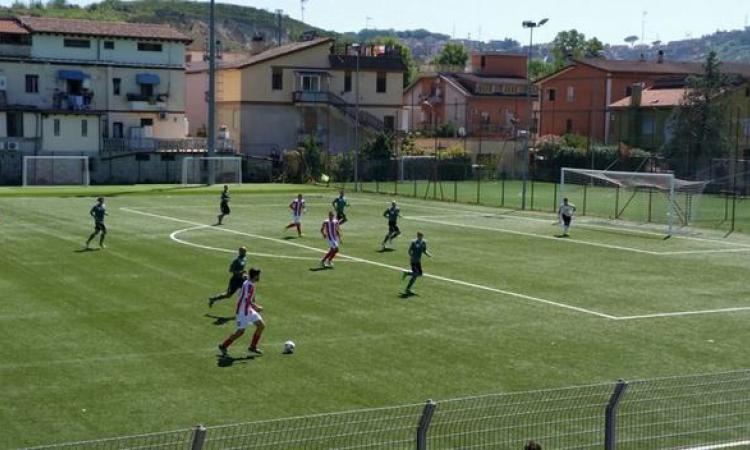 Cantalice in azione