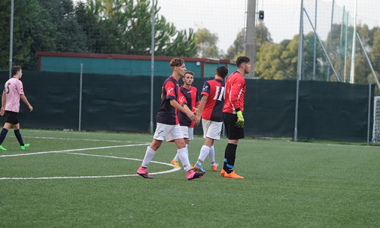 Grifone (foto ©DelGobbo)