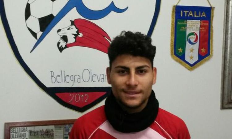 Francesco Cestrone