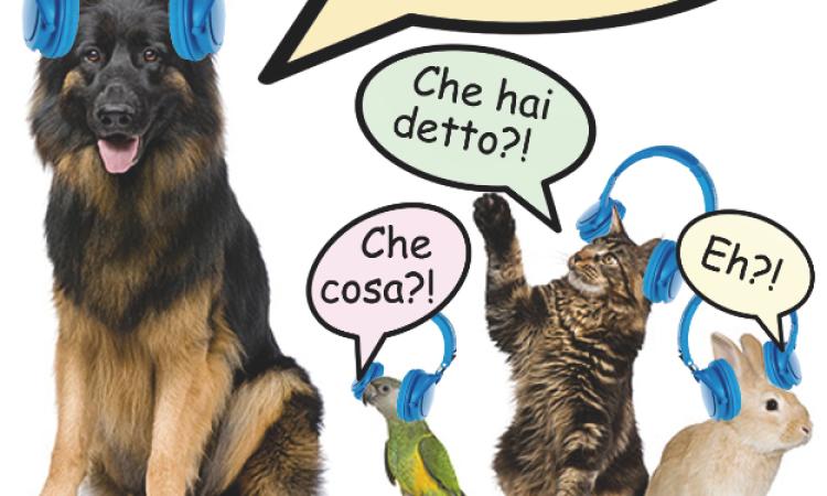 Cerveteri, un Capodanno senza botti
