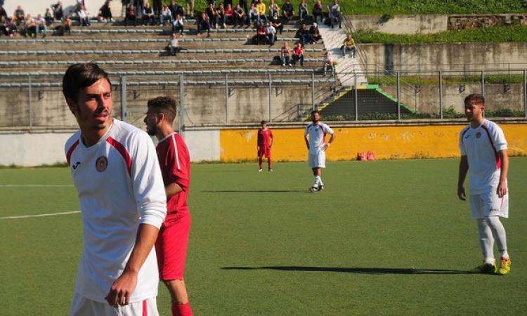 Lorenzo De Nigris e la Lupa Frascati proveranno a fermare il Team Nuova Florida