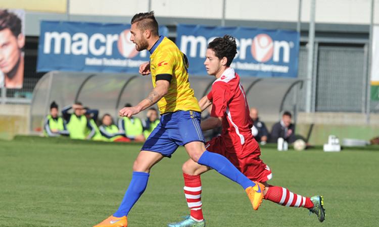 Arce (foto ©Del Gobbo)