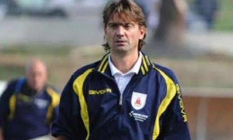 Scorsini