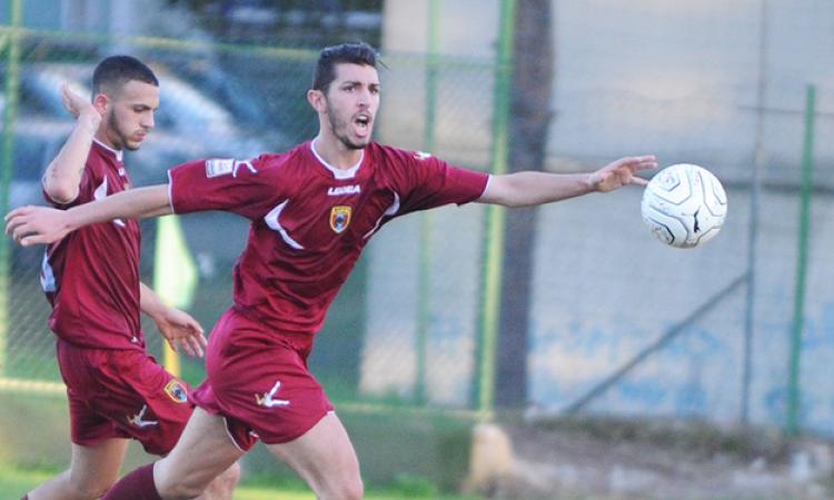 Lupa Castelli: vittoria al fotofinish contro l'Avellino