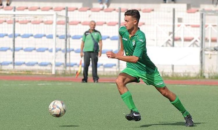 Almas corsaro (Foto © Del Gobbo)