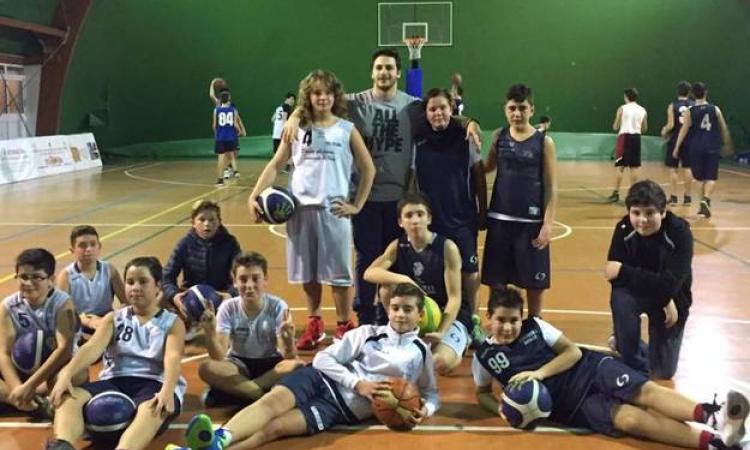 Colonna Basket