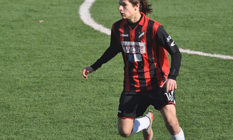 Simone Cavallucci