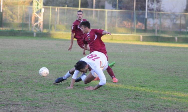 Frallicciardi e Bernardotto ©Del Gobbo