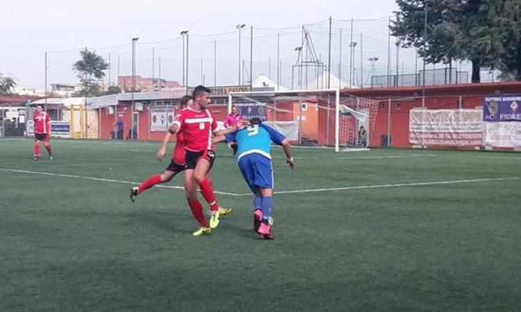 Danieli in azione