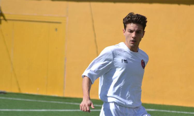 Marco Iacorossi