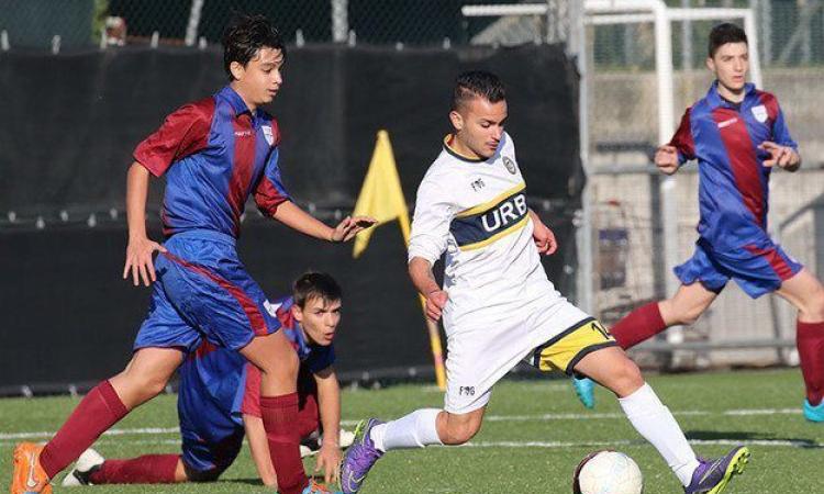 Loi, match-winner © Lori