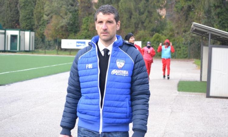 Foglia Manzillo