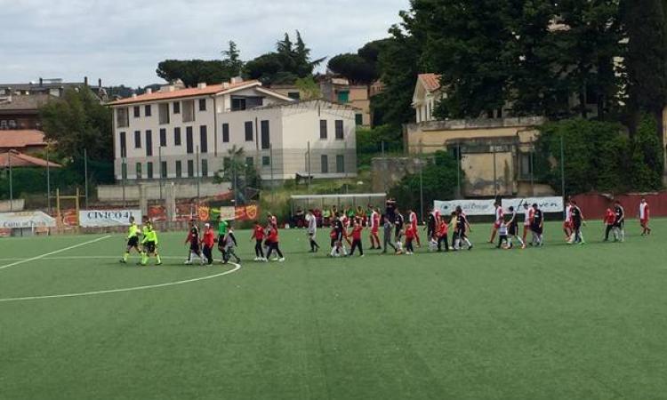 Vivace Grottaferrata