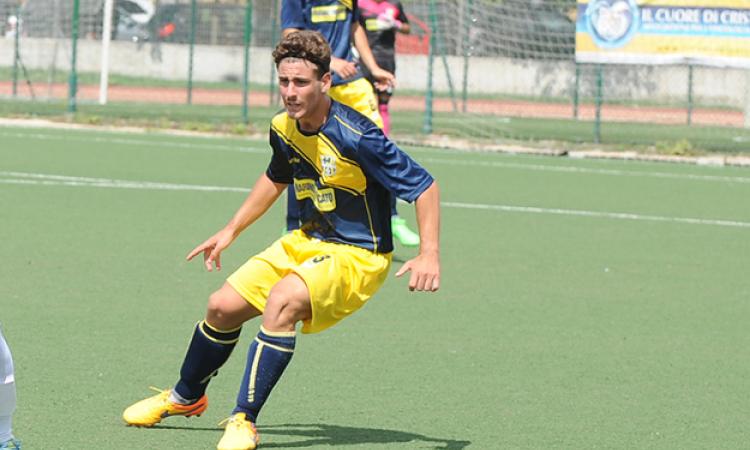 Tiscione (Monterotondo ©Del Gobbo)