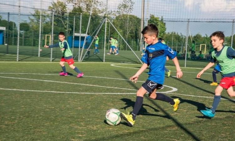 Piccoli Amici, Latina in azione ©Rizzo