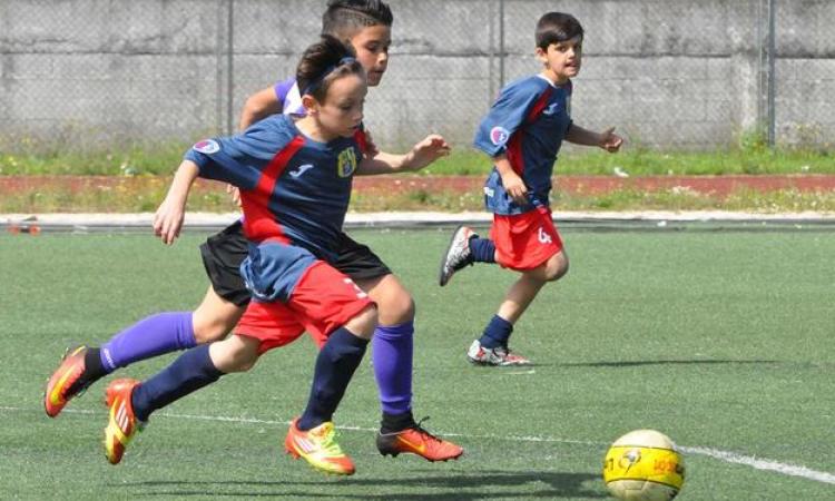 Gigino Maturi: Pulcini, le qualificate dopo i quarti di finale