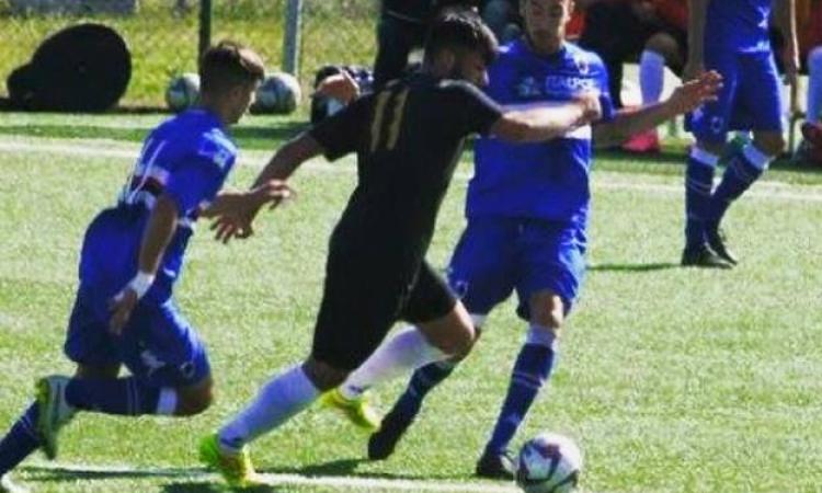 Di Ludovico in azione (foto Facebook)