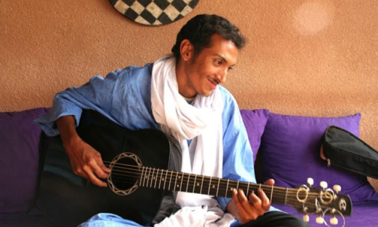 Bombino