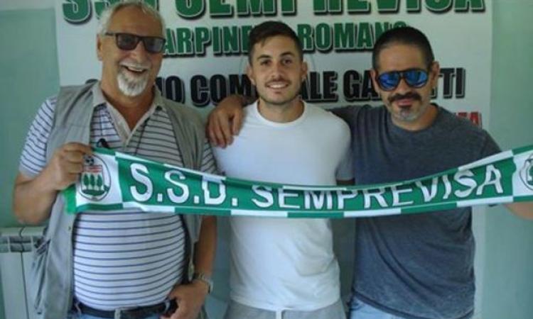 Cervini