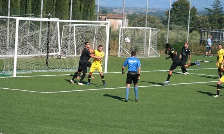 Uno scatto dall&amp;apos;amichevole