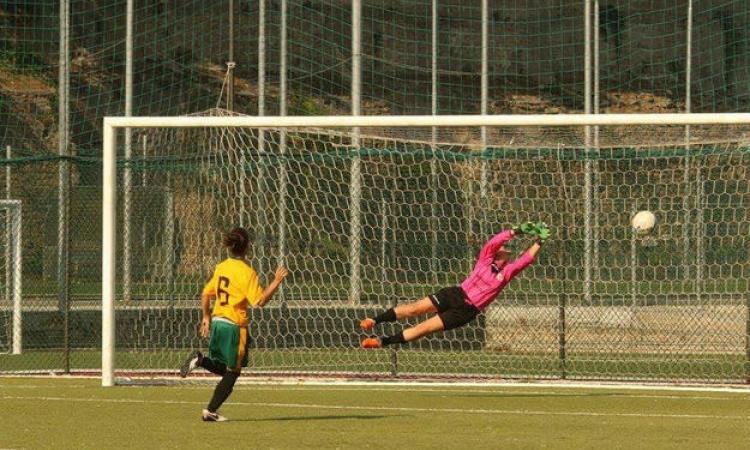 Grifone Gialloverde