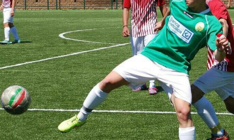 Panichi (in gol)