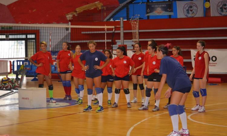 Under 16 al lavoro