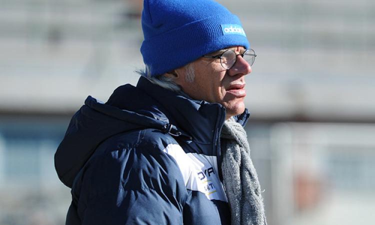 Leone (©Piccirilli)