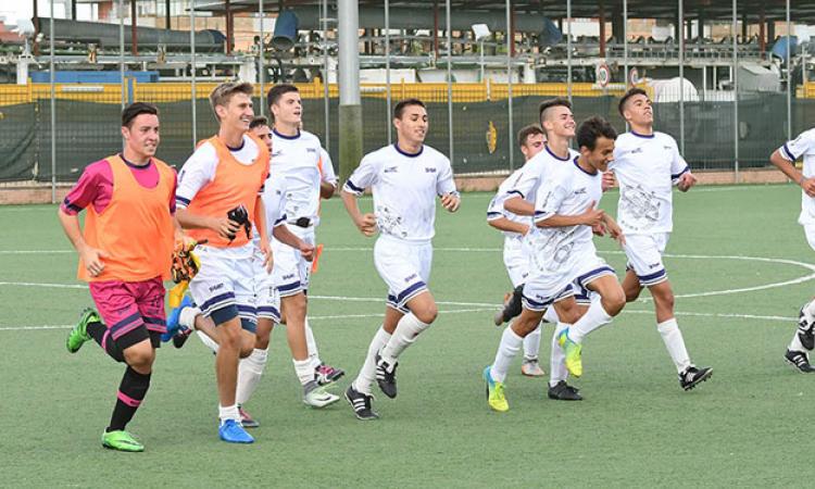 Savio, dodicesimo successo ©Lori