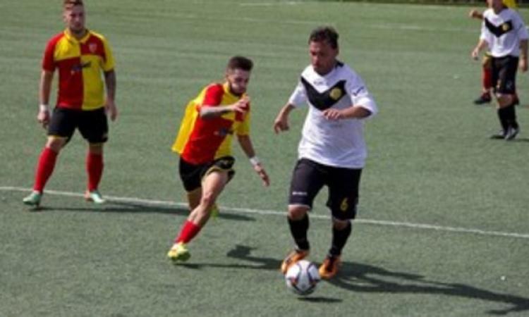 Alcini in azione (foto Fuoriareweb)