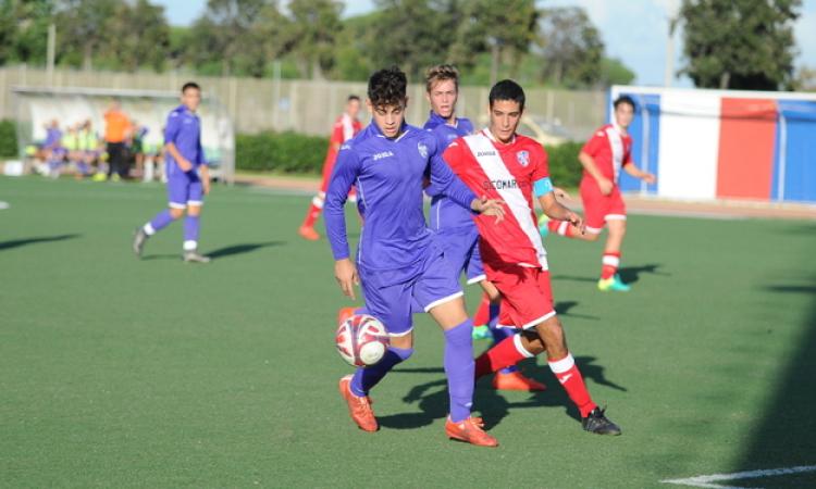Reale in azione (©Del Gobbo)
