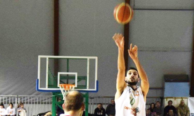 Palestrina, Drigo al tiro