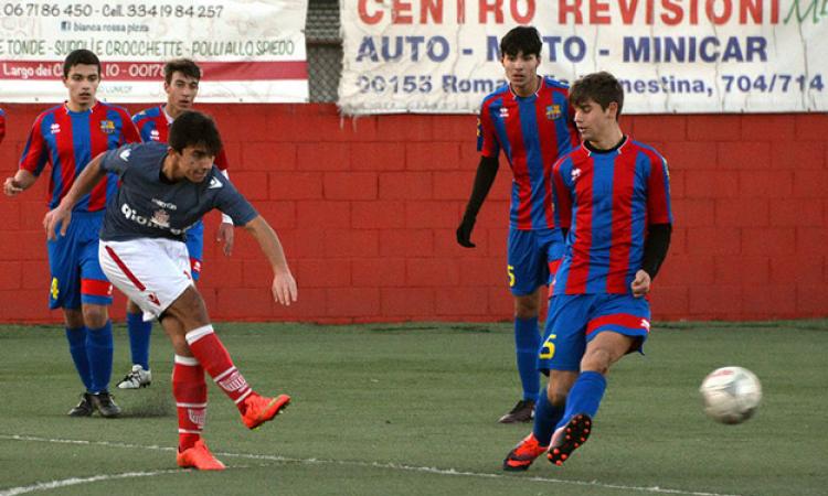 Coccia in azione (©Lori)