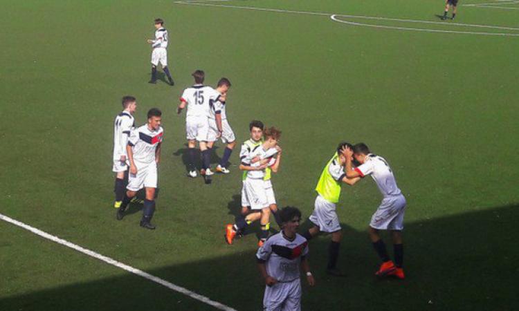 Grifone Monteverde