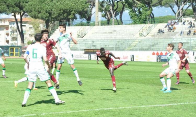 Scamacca contro il Torino ©viareggiocup.com