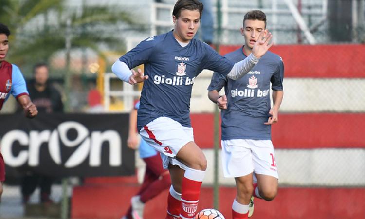 Alessandroni in azione (©Lori)