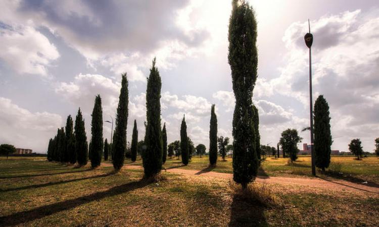 Parco di Centocelle (foto di Paola Pittori)