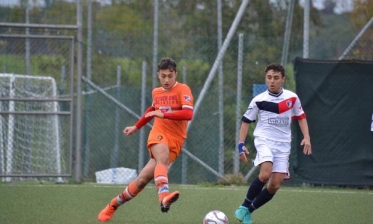 Vichi in azione