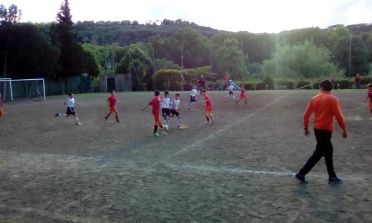 Torneo Galeazzi Aprilia - Romulea